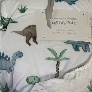Kids Baby Boy Dinosaur Blanket